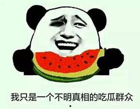 吃瓜群众免费吃瓜网站,揭秘吃瓜群众专属网站  第3张